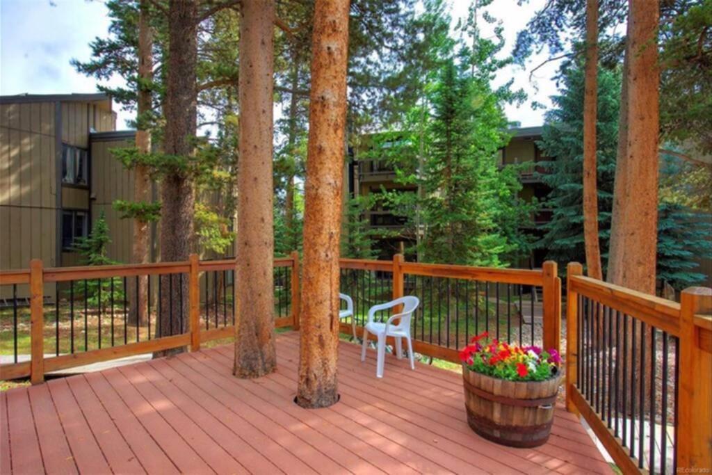 Hot Tub & Sauna Peak 8 Breckenridge Extérieur photo